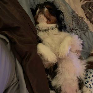 Meet your Posher, Christina